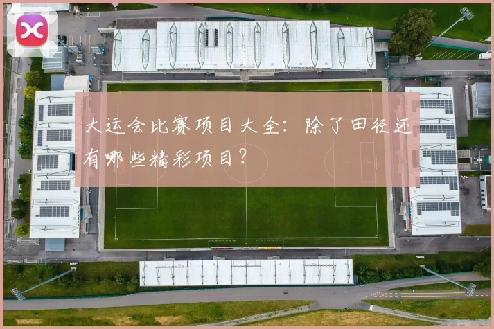 大运会比赛项目大全：除了田径还有哪些精彩项目？