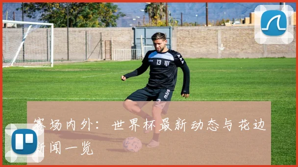 赛场内外：世界杯最新动态与花边新闻一览