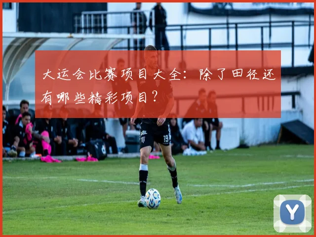 大运会比赛项目大全:除了田径还有哪些精彩项目?